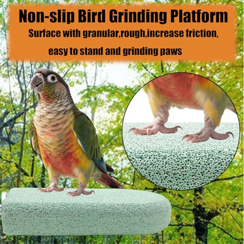 Image of Pet Teeth Grinding Stone and Perch, Bird Perch Stands, Natural Chewing Toys for Small Medium Birds Budgies Conures Cockatiels Rats (4 Colores, Big)