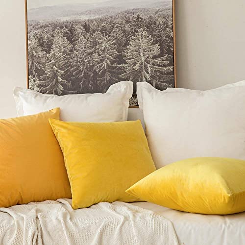 Image of Decorative Holland Velvet Cushion Square Pillow Covers Pillowcases for Sofa Bedroom with Invisible Zipper || (Yellow, Set of 5 Piece (16X16 Inches)