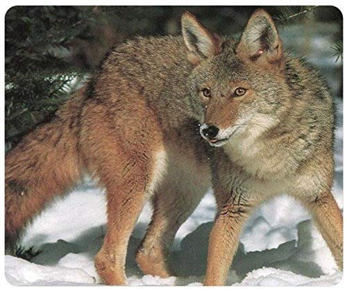 コヨーテ(Prairie Wolf)カスタマイズされた長方形マウスパッド、マウスパッド