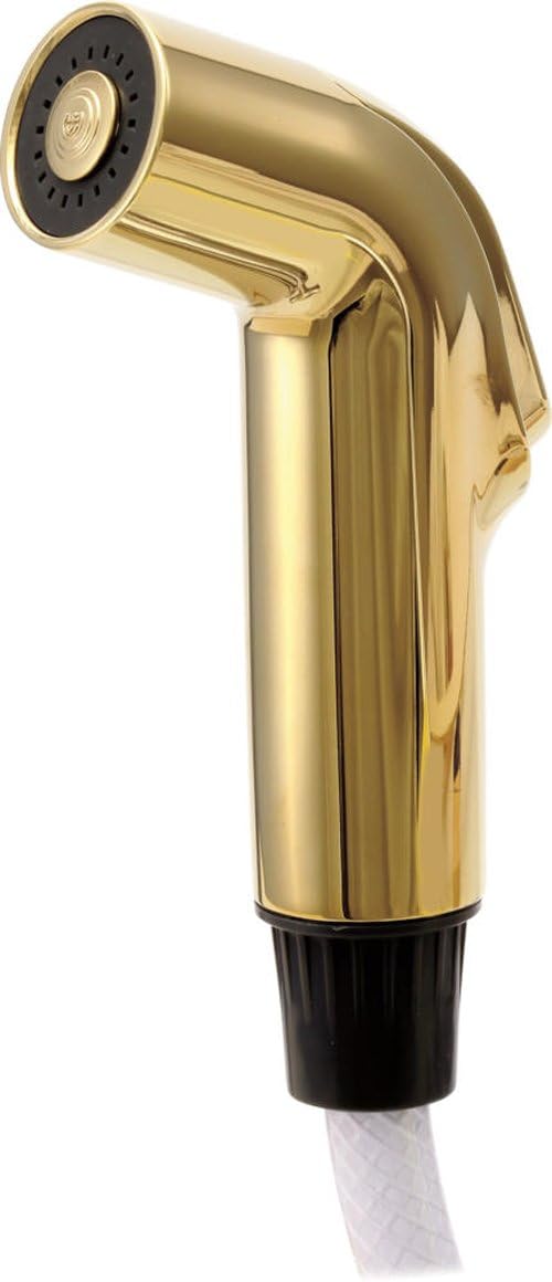 Delta Faucet Rp39345pb Spray And Hose Assembly Polished Brass Amazon Com