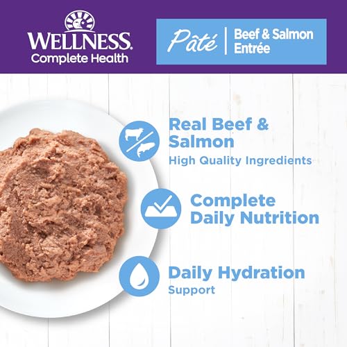 Wellness Complete Health Pate Adult Canned Wet Cat Food, Natural, Protein Rich, Grain Free, Beef and Salmon Entrée Recipe, 12.5 oz, Pack of 12 Cans - image 2
