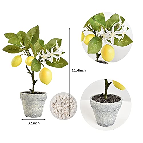 Luckforest Artificial Lemon Tree Topiary, Mini Potted Lemon Tree With White Pebbles, Potted Fake Plants For Flower Home Party Garden Office Table Decoration #TOP6
