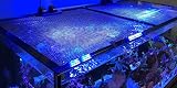 D-D Aquarium-Fischsprungschutz (180 x 90 cm)
