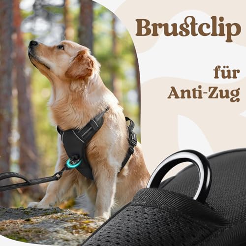 rabbitgoo Hundegeschirr Grosse Hunde, Verstellbare Geschirr Hund ohne Zug & Würgen, Anti Zug Hundegeschirr mit Griff, weich Gepolsterte Reflektierende Brustgeschirr, Schwarz L