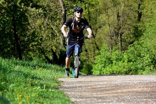YEDOO Four Y40 Tretroller - bis 150 kg, mittelgroßer, Stabiler Kickscooter mit Scheibenbremsen und 20/16 Lufträdern - Dogscooter für Erwachsene, für Natur und urbanes Off-Road. (Black)
