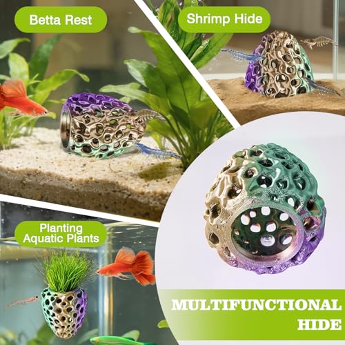 Image of Shrimp Dome Hide, Shrimp Hides for Aquarium, Betta Fish Hideout with Suction Cup, Betta Habitat Tank Ornament Accessories, Aquarium Decor for Small Fish Guppy Hiding Resting (Green Purple)