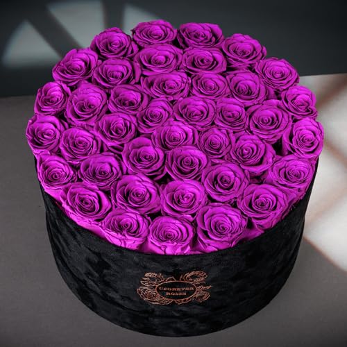 Luxury-Preserved-Roses-in-Suede-Box-Flower-Roses-Gifts-for-Women-Valentines-Day-Flowers-Mothers-Day-Roses-Birthday-Flowers-for-Delivery-Prime-40-Pieces-Purple