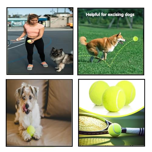 Image of Tennis Balls, Training Tennis Ball for Beginners, Interactive Playing Balls for Pets - Dog, Cat, Exercise & Fetch, Standard Size (Pack of (2)