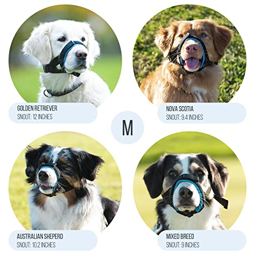 Image of Gentle Muzzle Guard for Dogs - Prevents Biting and Unwanted Chewing Safely - New Secure Comfort Fit - Soft Neoprene Padding - No More Chafing - Training Guide Helps Build Bonds with Pet (M, Blue)