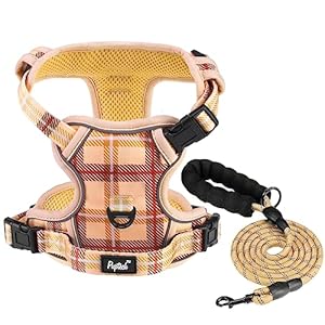 PUPTECK No Pull Dog Harness and Leash Set with Handle Reflective Adjustable Padded Vest Escape Proof for Small Medium Large Dogs Walking Training Hiking, Plaid Beige M