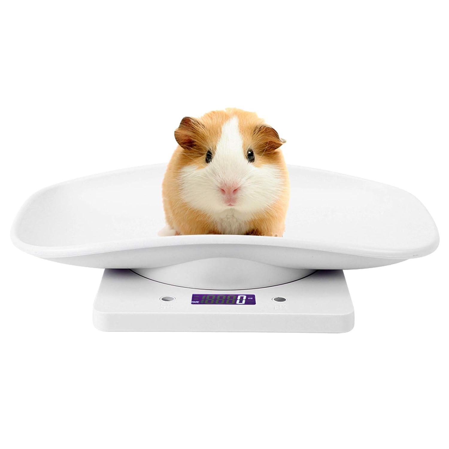 Bilancia Digitale di Alta Precisione per Animali Domestici 10 kg/1 G, Bilancia Portatile A LED per Cani, Gatti E Cuccioli, Bilancia da Cucina Ideale per Pesare con Precisione Cibo E Animali.
