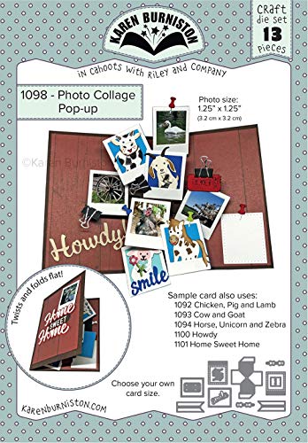 KB RILEY LLC 1098 1098 KB Riley Coll, collage de fotos desplegable