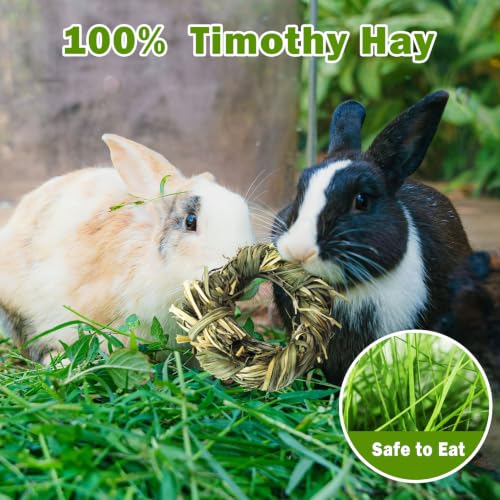 Image of 6PCS Timothy Hay Toy for Rabbits Bunny Chew Toys for Teeth Timothy Hay Rings for Small Animals Guinea Pigs Chinchillas Hamsters Bunnies Digestion Care