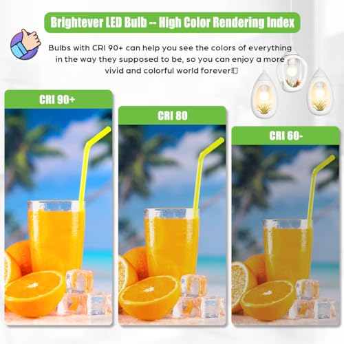 Image of LED Light Bulbs 100W Equivalent 1500 Lumens, A19 13W 3000K Soft White Non-Dimmable, Super Bright No Flicker Standard E26 Edison Screw Bulbs for Home, Bedroom, Office Lamp, 12-Pack