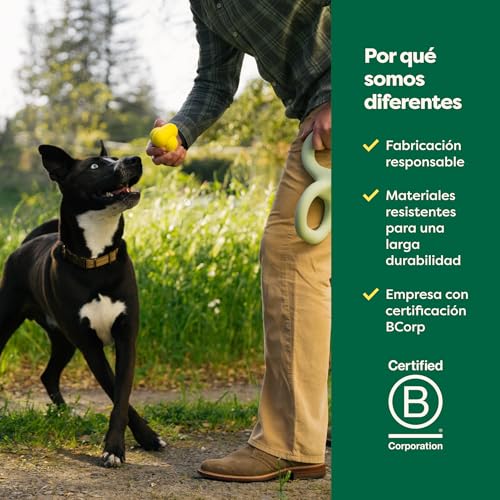 Earth Rated Pelota para Perro, Juguete Interactivo para Razas pequeñas, Medianas y Grandes, Viene en Varios tamaños, Fabricado con Goma Natural, Uso en Interiores y Exteriores, pequeño, - imagen 6
