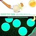Ice Hockey Prucini – 2 Pieces Light Up Sports Balls, Glow In The Dark Game Foucks | Durable Green Dodgeball Hockey Toys For Practice And Recreation | Gift For Men