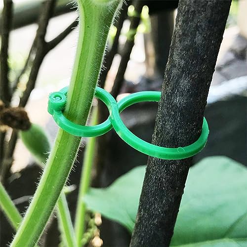 Ausla Veredelungsband Für Obstbäume 29mm - PVC Klebeband Zum Pfropfen & Reparieren Von Gartenpflanzen