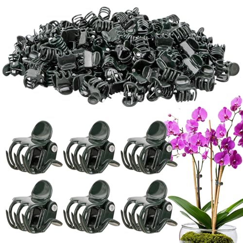 RAINFLOW 200 Pcs Orchid Clips for Plants Support - Plant Clips for Vine Plant Support Shaping Flowers Fixed Small Plastic Flower Gardening Fixing Clip for Orchid Phalaenopsis Peony Tomato(Dark Green)