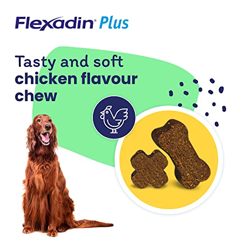 FLEXADIN Plus PERRO MEDIANO Grande 90CPD