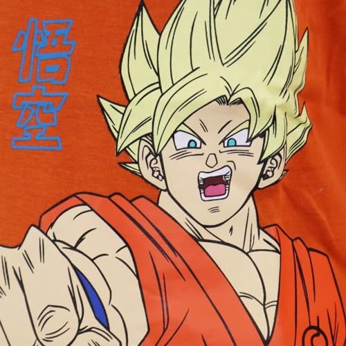 Dragon Ball Z Niños Camiseta de Manga Larga (Naranja,4 años)