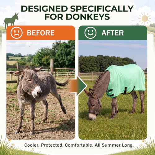 Image of Yeeyeplum Donkey Fly Sheet, UV Protection Mesh Fly Blanket,Mini
