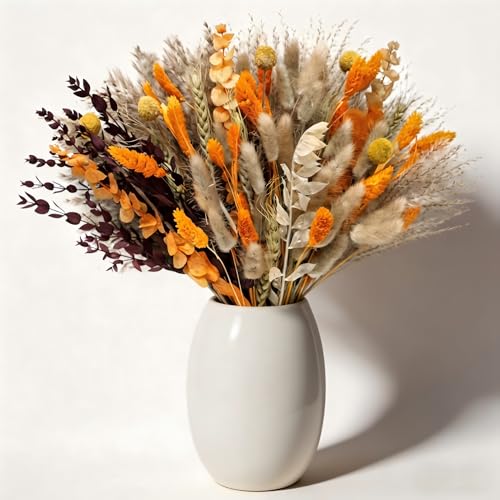 Ramo de Flores Secas de Otoño con Cola de Conejo Naranja 100pcs miniatura 1