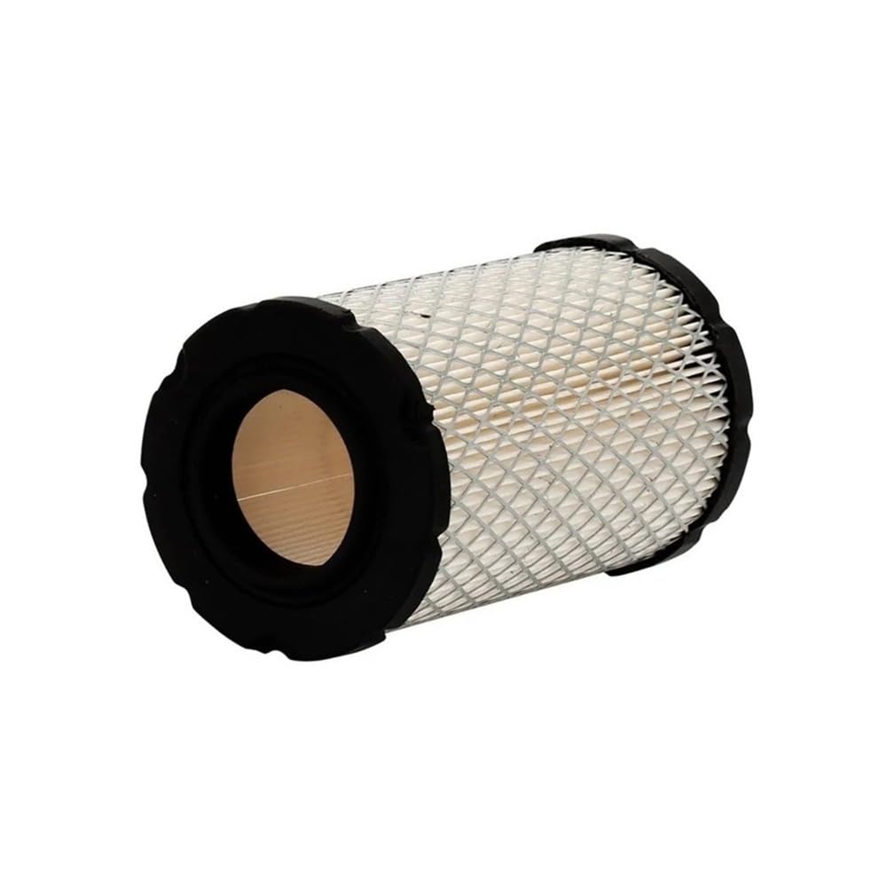 Filtre de tondeuse à gazon pour retrouver un jardin impeccable au printemps
