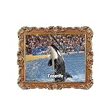 Loro Parque Parrot Park Tenerife España Imán para nevera 3D recuerdo de viaje decoración de nevera calcomanía magnética colección artesanal