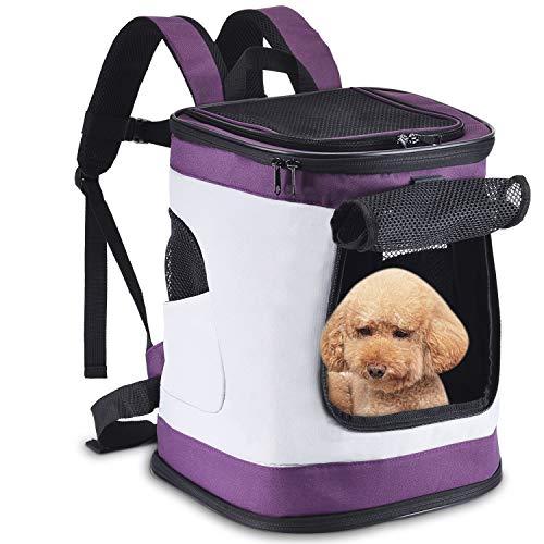 7 Best Dog Carrier Backpacks for Travel in 2020