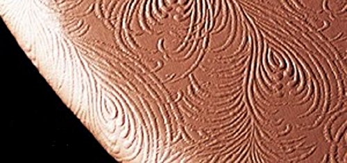 Fitted Round Sculptured Vinyl Table Cloth Cover fits 36