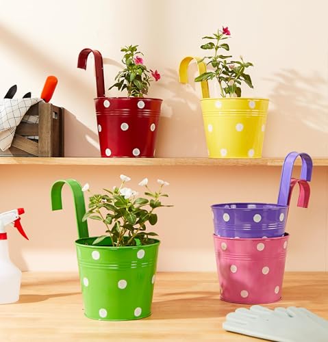 Image of Amazon Brand - Solimo Dotted Round Railing Planter for Balcony (Multicolor, Set of 5) | Dotted Railing Metal Pots for Balcony and Home Gardening, Indoor, Outdoor