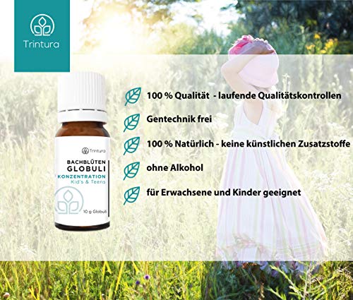 Bachblüten Globuli - KONZENTRATION - für Studenten, Schüler und andere Denksportler