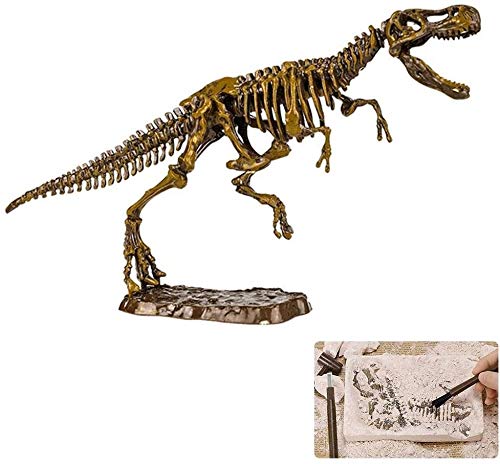 FANPING Dinosaur Fossil Dig Excavation Kit For Kids, Dino Dig Kits T-Rex, Triceratops, Diplodocus, Brachiosaurus And Stegosaurus Dino Excavation Educational Dino Skeletons DIY STEM Toy For Kids