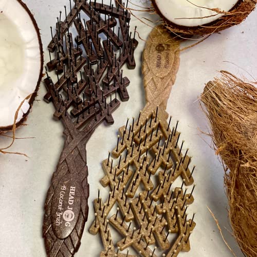 Head Jog 19 Coconut Brush, Eco-Friendly Detangler with Flexible Bristles for Wet or Dry Hair, Made from Coconut Husk - Image 4