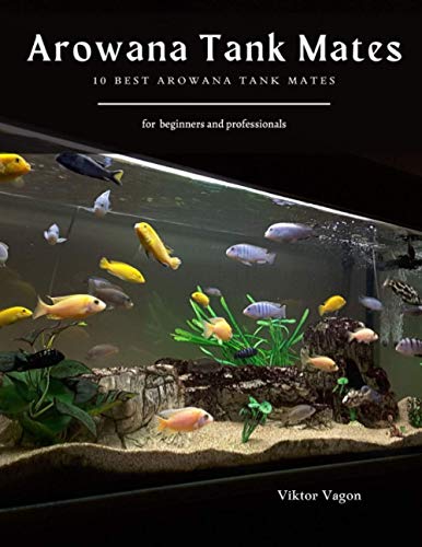 Arowana Tank Mates: 10 Best Arowana Tank Mates