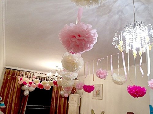 Sorive® 12Pcs Mixed Sizes Mint & Light Blue Party Tissue Pom Poms Paper Flower Pompoms Wedding Birthday Party Anniversary Reception Decoration Favour By Sorive #TOP6