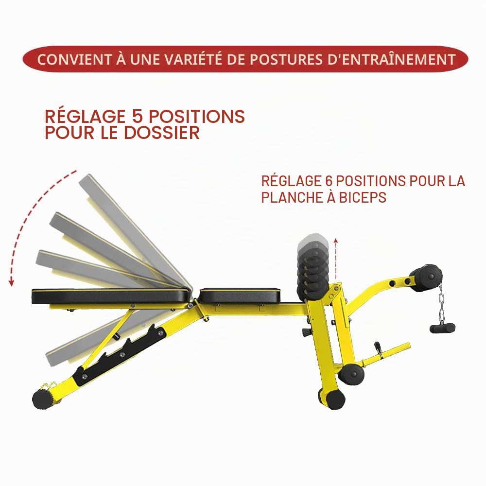 Banc de musculation utilitaire avec extension des jambes - Banc réglable à plusieurs positions pour l’entraînement en force musculaire, les exercices avec haltères et les exercices abdominaux