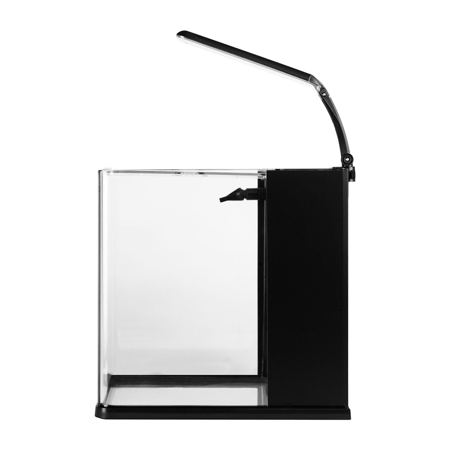 Aqpet Acquario in Vetro per Pesci Tropicali Dolce e Marino Completo di Filtro Illuminazione Led e materiali Filtranti, 19 Litri, 25x27x27 cm