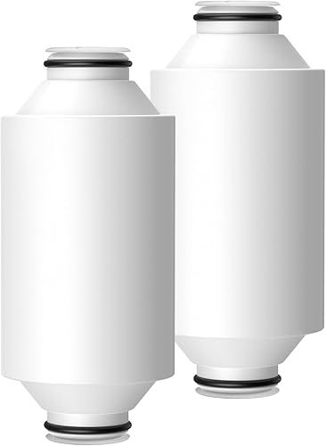 AWP175 - Cartucho de filtro de ducha compatible con Philips AWP1775CH, filtro de ducha de 3 etapas con doble malla, paquete de 2