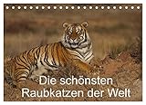 Die schönsten Raubkatzen der Welt (Tischkalender 2023 DIN A5 quer), Calvendo Monatskalender - Marion Vollborn 