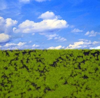 Reality in scale - Grass Mat - Wild Grass Type 2