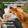 WOOF HonestChew Dog Toy Duo - Durable Dog Chews - Made with Plant-Based Ingredients - Splinter-Resistant - Safer Than Dog Bones - with HonestChew Antler and Infinity - Gift for Dogs - Medium #4