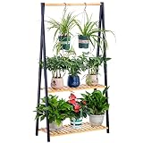 COPREE Bamboo 2-tier Hanging Plant Stand Planter Shelves Flower Pot Organizer Rack Multiple Flower P