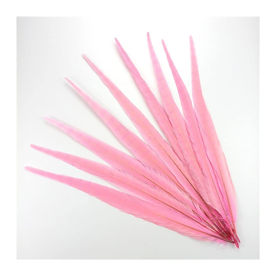 Plumas de faisán naturales menta de 40cm para reparar tocados y disfraces sin volumen