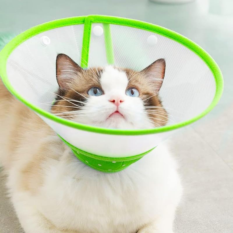 Image of Pets Empire Pet Recovery Collar for Dogs & Cats | Adjustable Elizabethan Cone | Protective E-Collar for Wound Healing, Grooming & Post-Surgery Care Green (M)