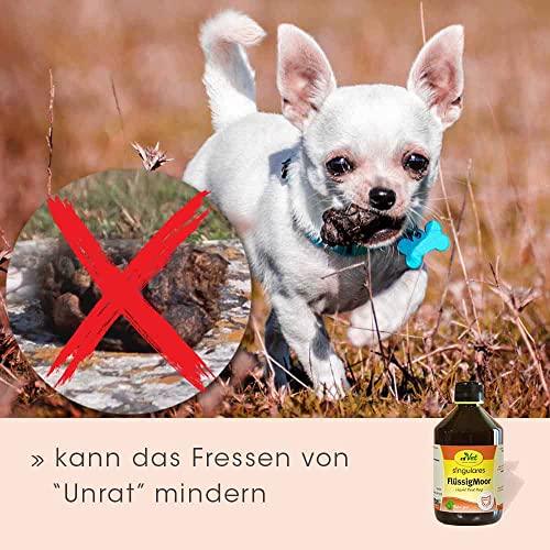 Singulares FlüssigMoor 500ml