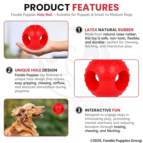 Image of Foodie Puppies Natural Rubber Flavored Hole Ball - 2.35inch / 6cm | Suitable for Small to Medium Dogs and Puppies | Chewing, Teething, and Training Ball Toy