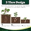 AMERLIFE 3-Tier Raised Garden Bed for Outdoor Gardening, Fir Wood Planter Box with Dividers, Tool-Free Assembly, Garden Box Perfect for Vegetables, Herbs, and Flowers #2