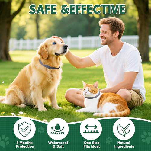 2 Pcs Floh Zeckenhalsband für Katzen & Hunde | Bis zu 16 Monate Langzeitschutz | Natürlicher Floh-und Zeckenschutz | Wasserdichter Verstellbares (Schwarz, Universal)