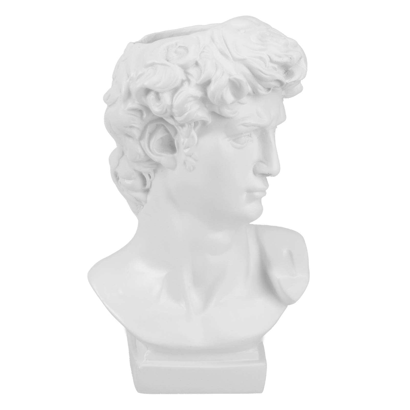 Buy Angoily Greek Statue of David Head, David Statue Sculpture er